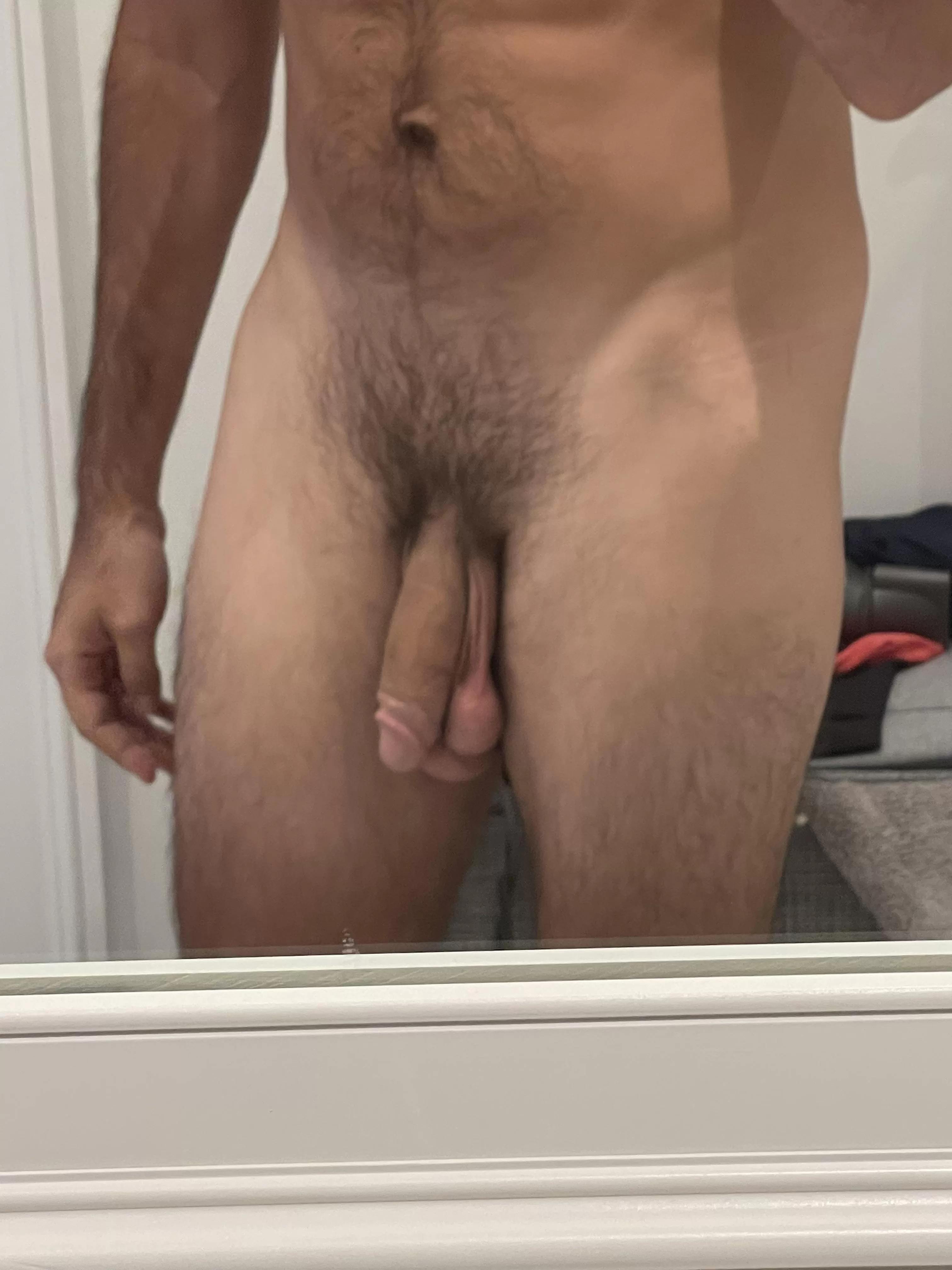 Bull 6 Bull 6