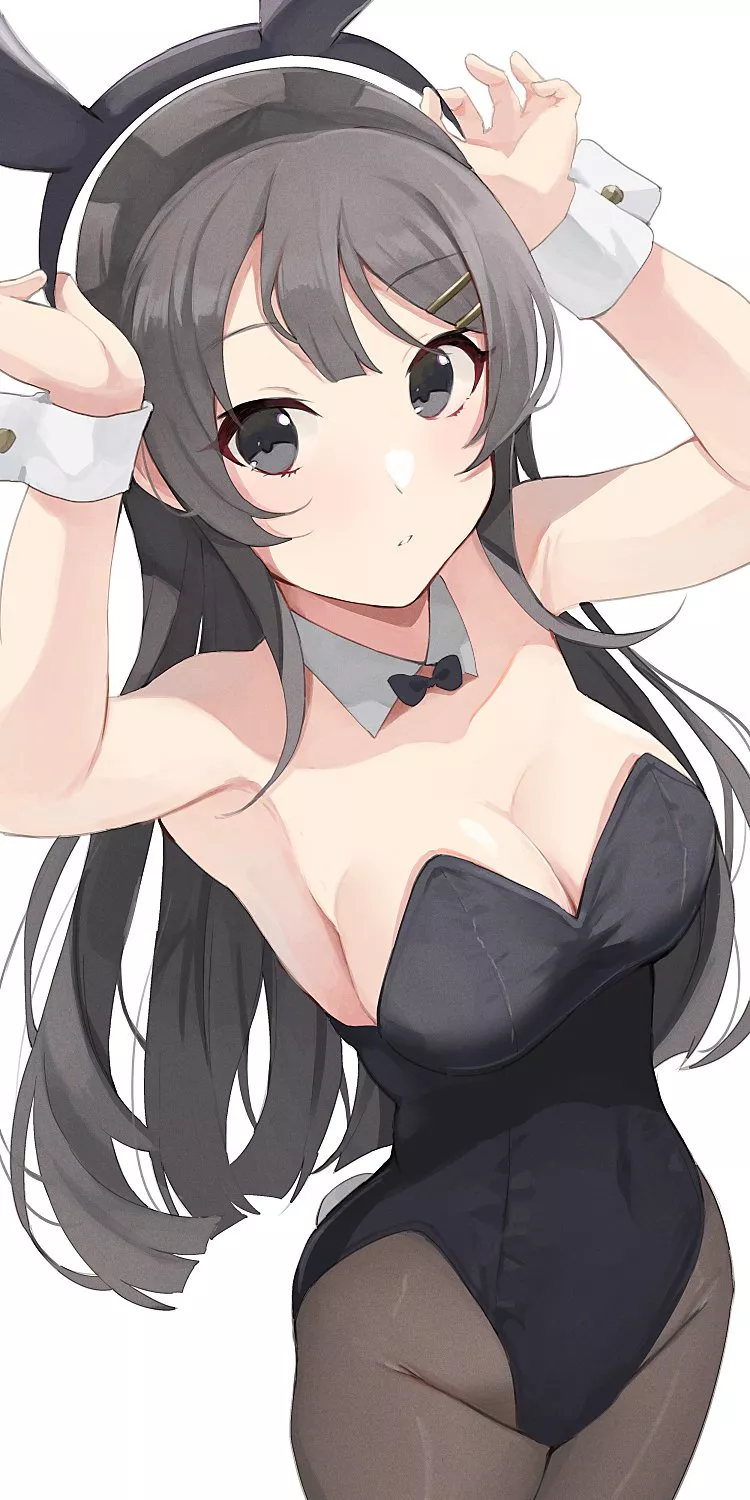 Bunny girl Senpai Bunny girl Senpai