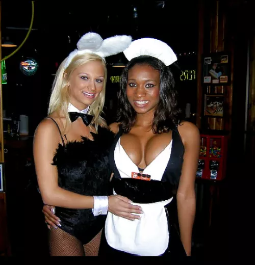 Bunny or maid Bunny or maid