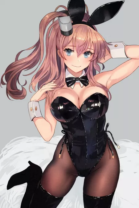 Bunny Saratoga Bunny Saratoga
