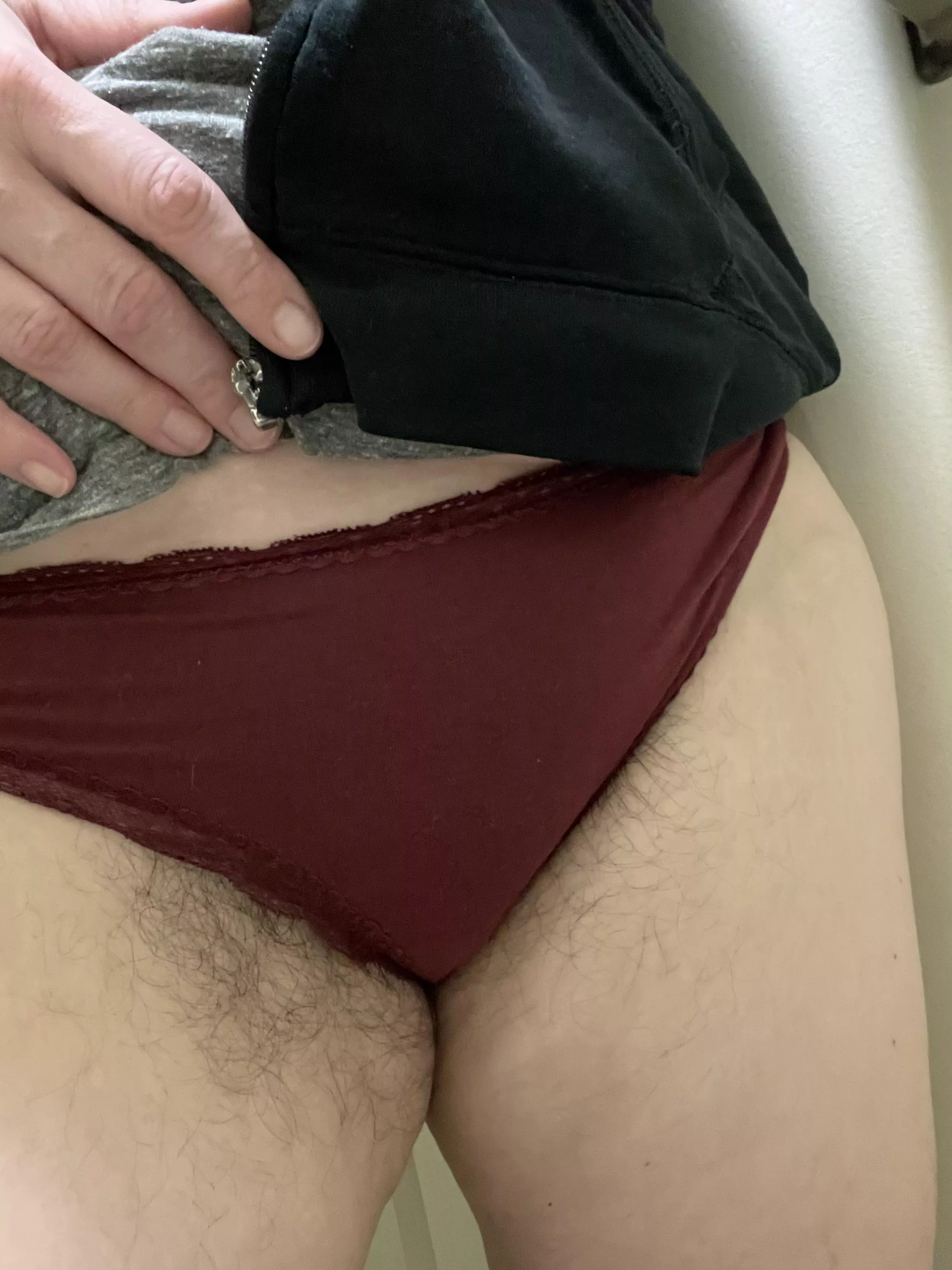 Burgundy bush explosion