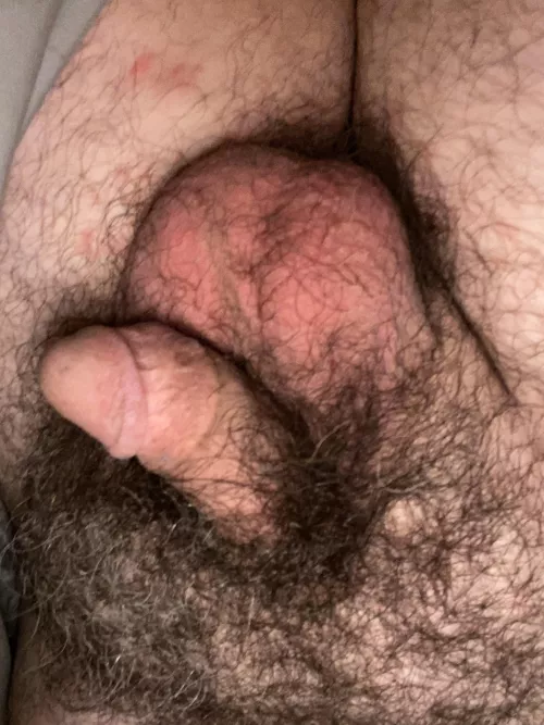 Bury your face in these pubes