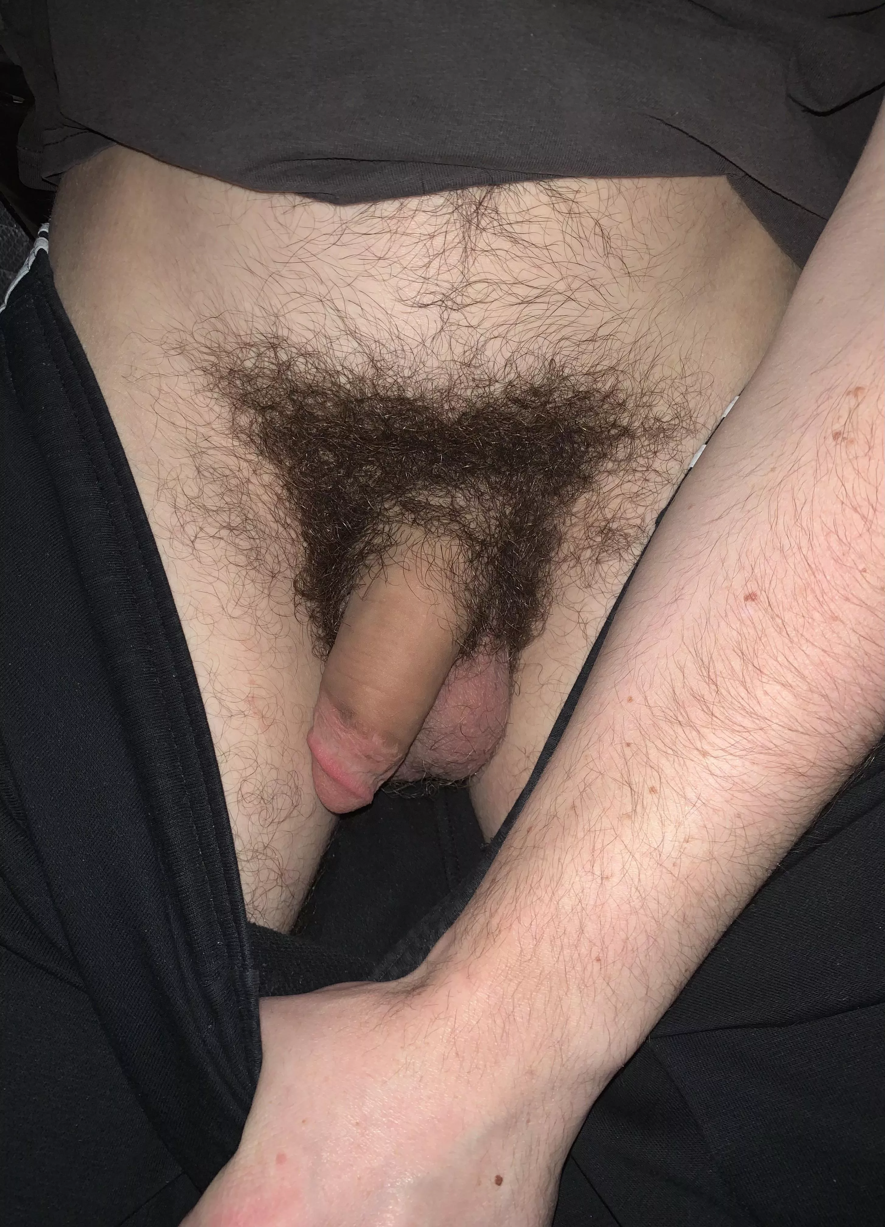 Bush for days Bush for days