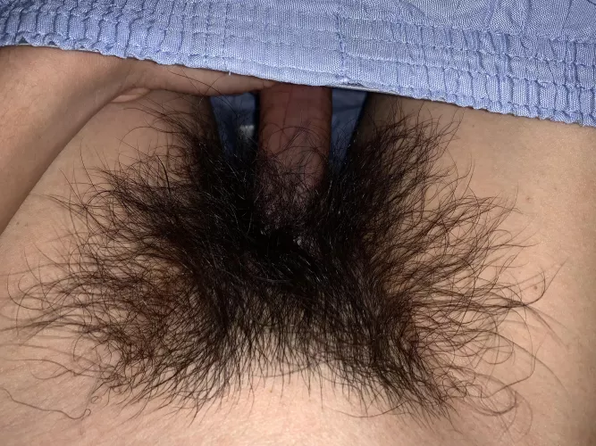 Bush Update: Looking very hairy and thick tonight… let me know if my wild bush turns you on 😈