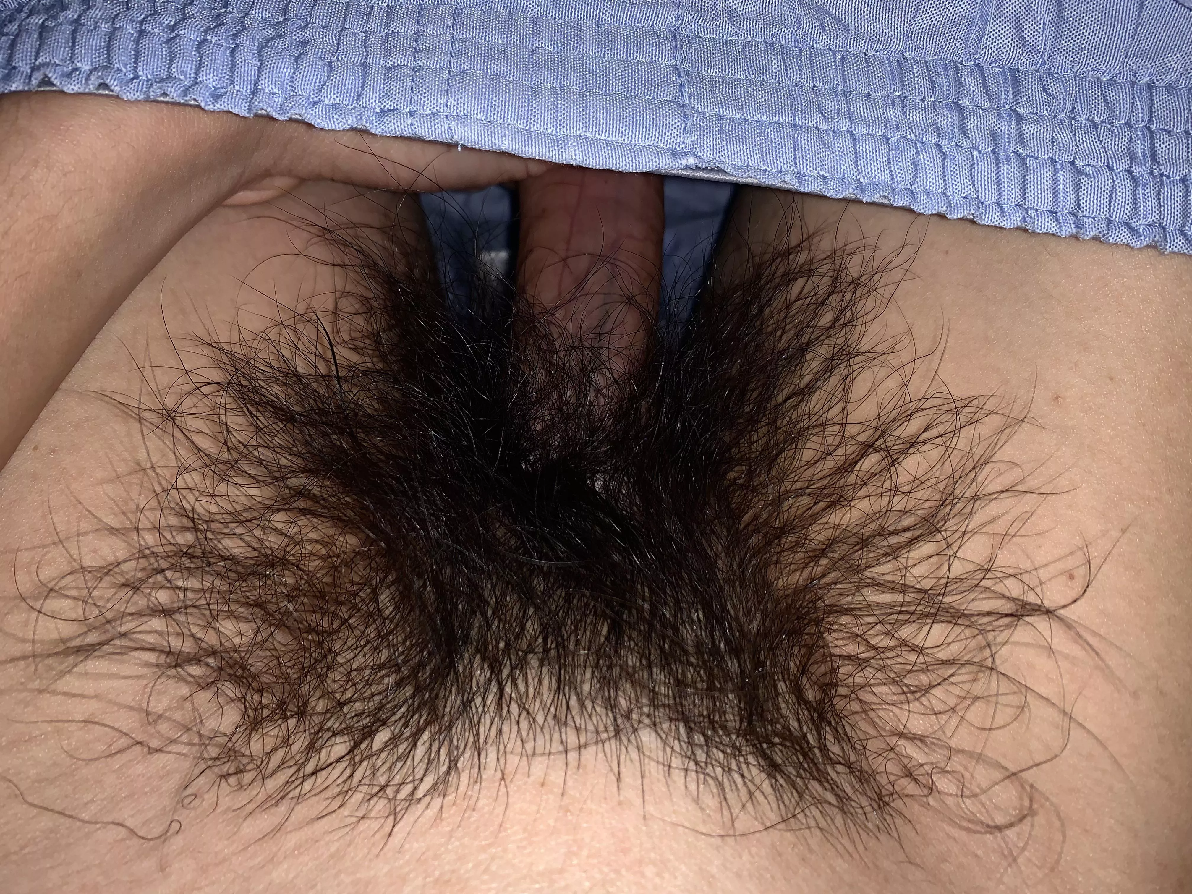 Bush Update: Looking very hairy and thick tonight… let me know if my wild bush turns you on 😈