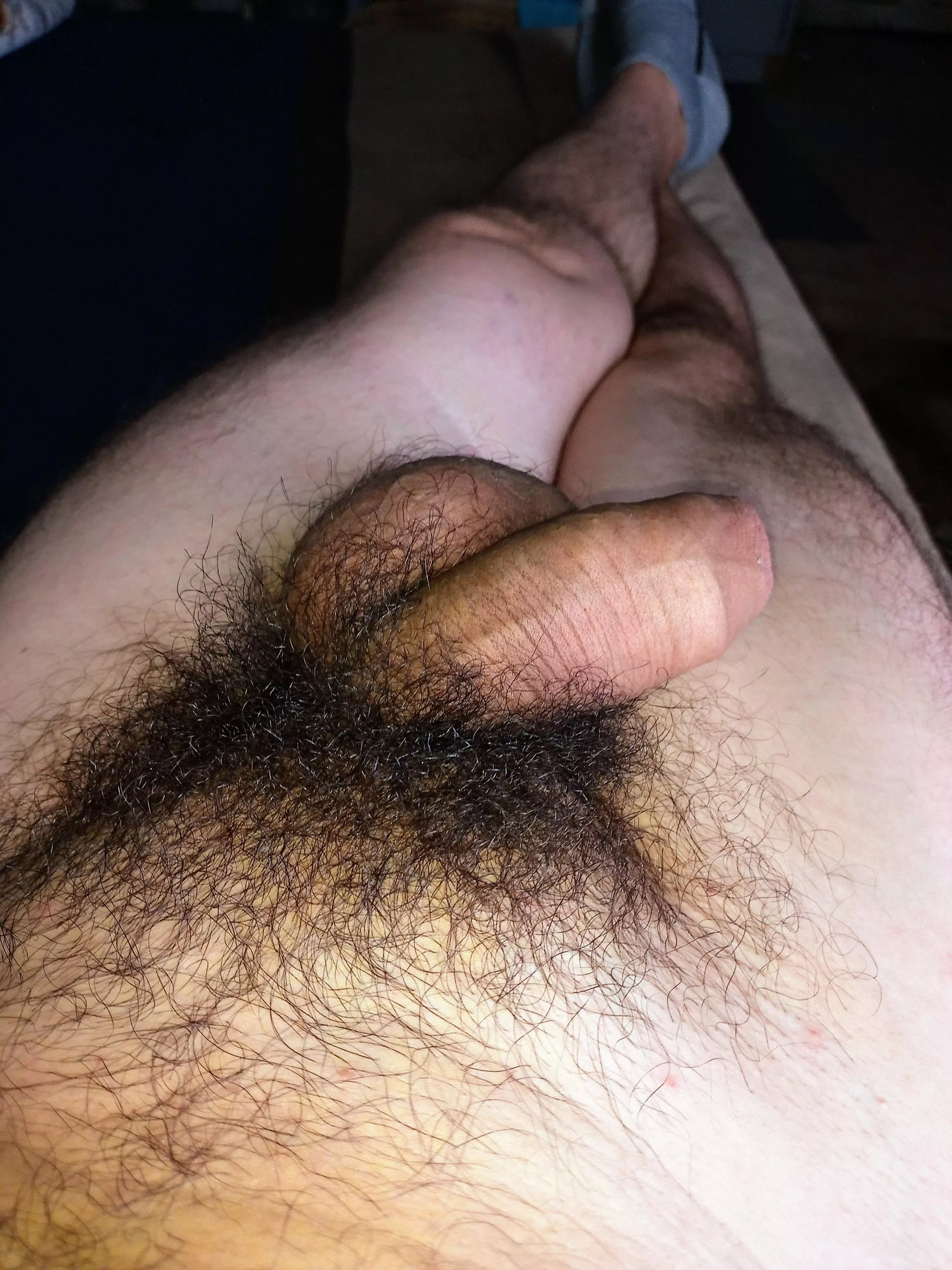 Bushy Bushy