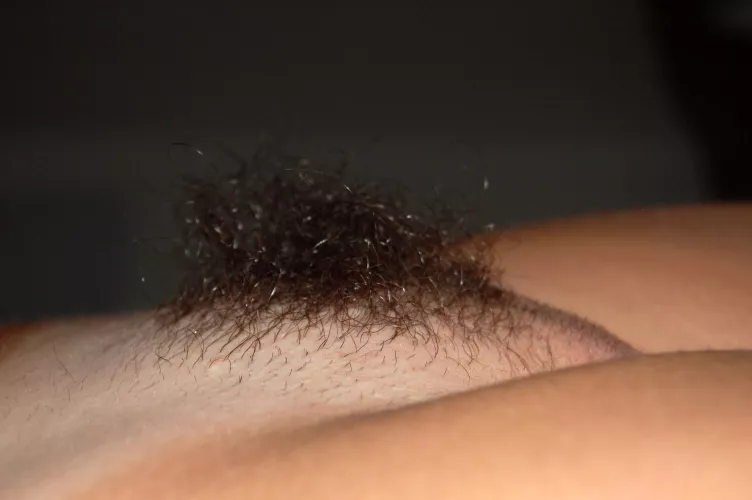 Bushy Bushy