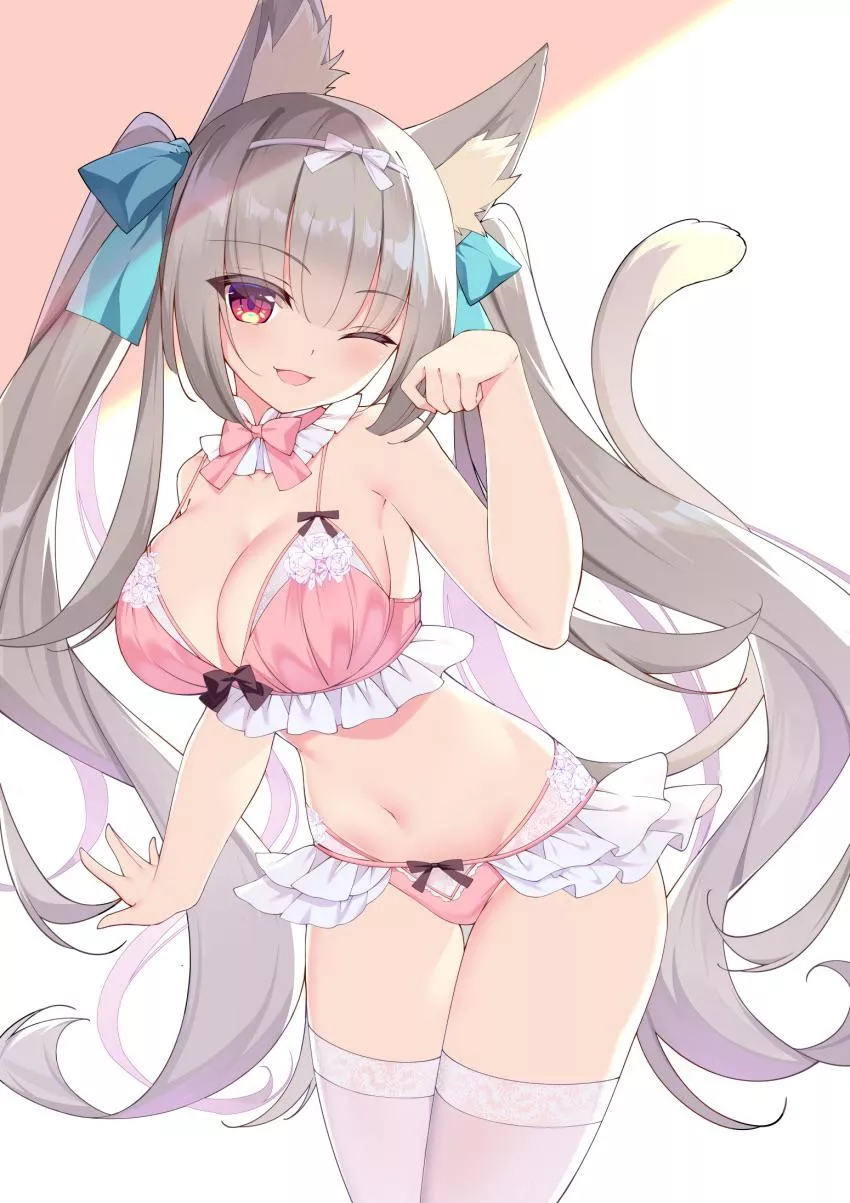 Busty neko