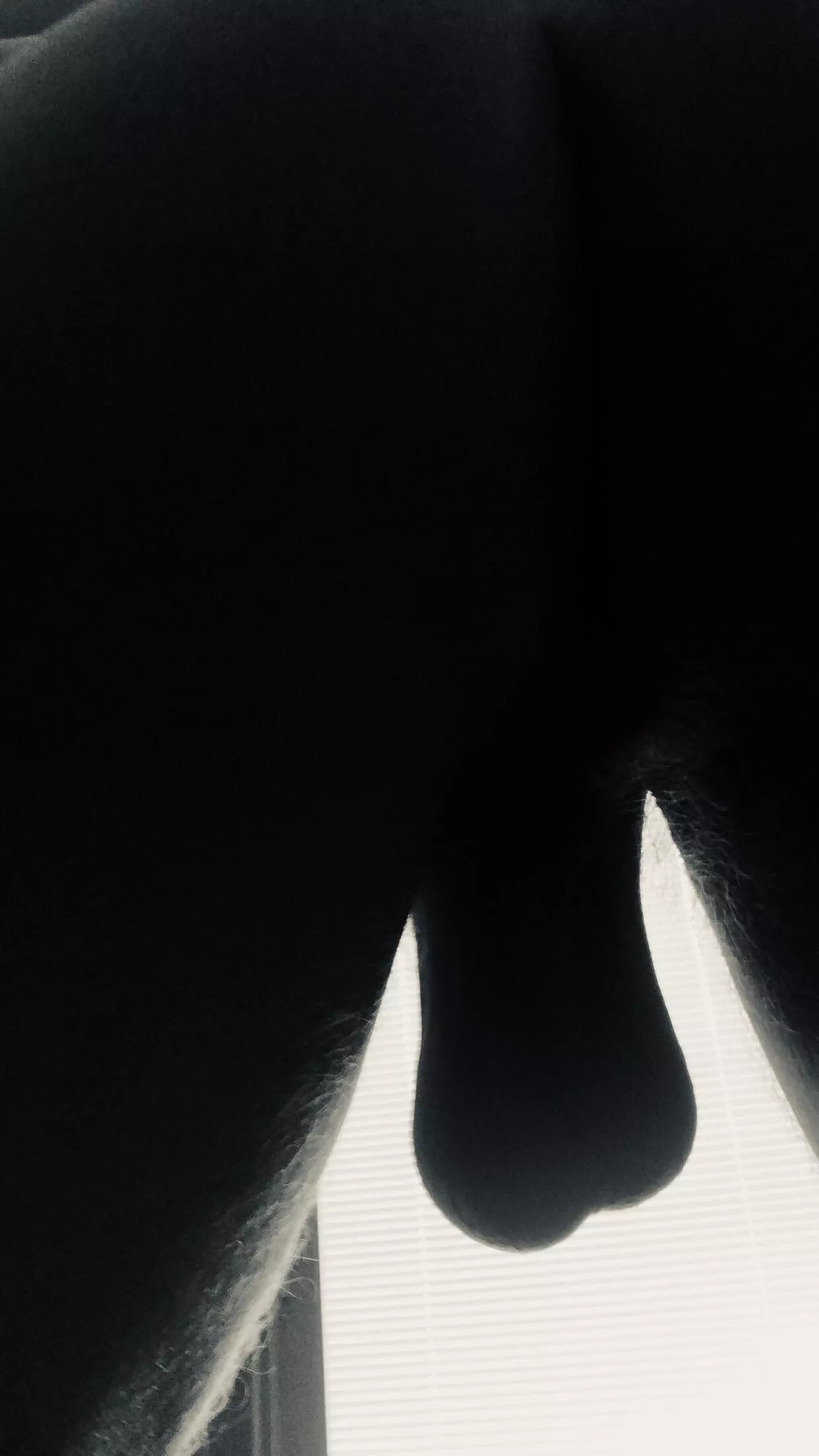 BW:Between my legs BW:Between my legs