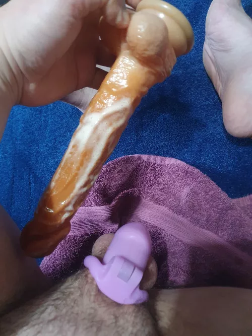 Caged and creamy waiting for my bull to arriveπππ