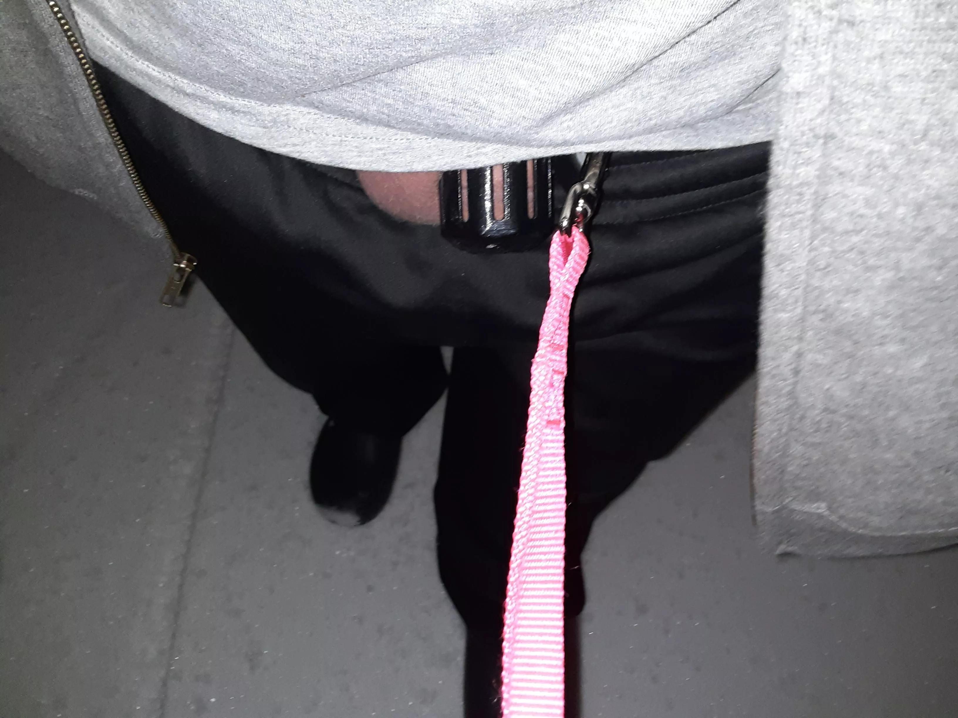Caged clitty is leashed and taken for a walk. It's only 20 degrees out...🔒🍆🥶