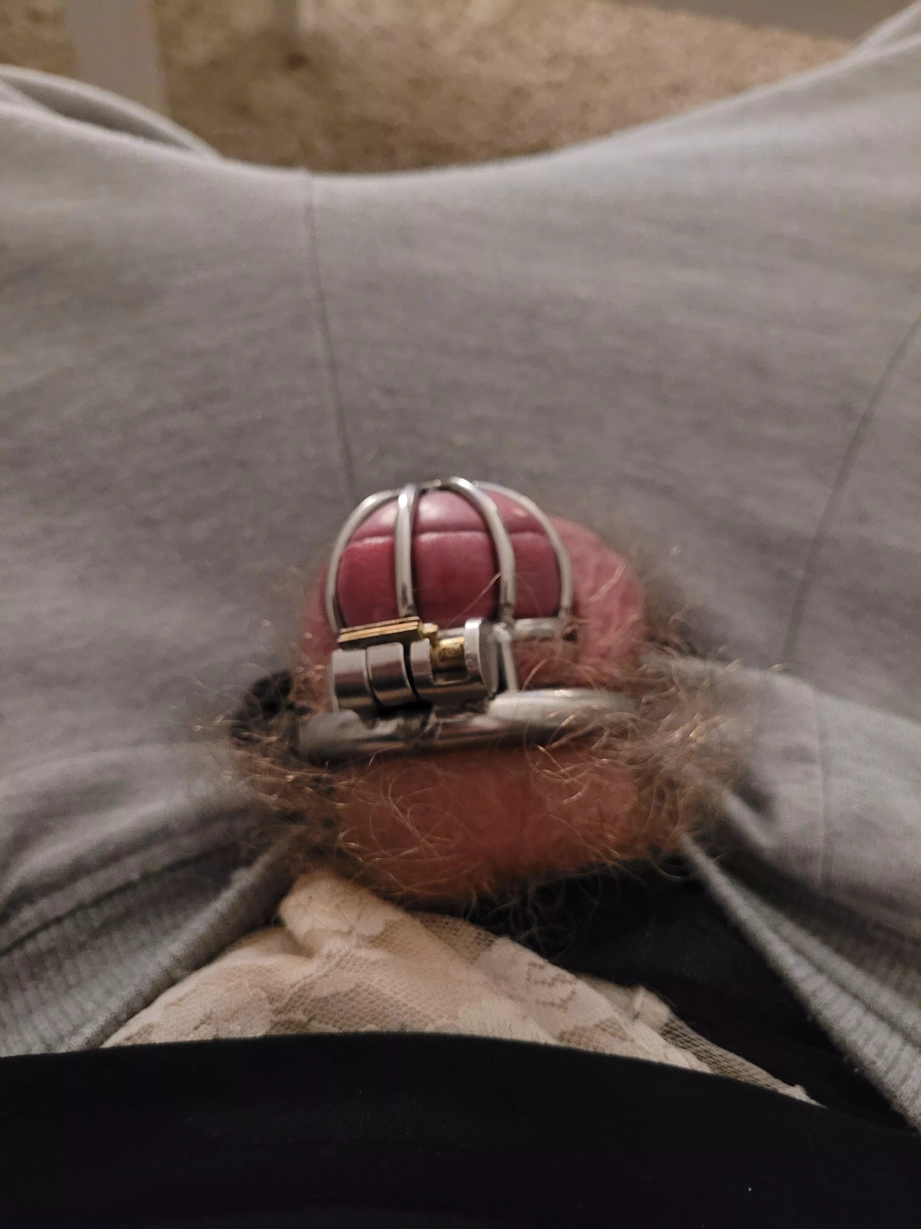 #caged #small #hairy #dick #clitty #horny #caged #small #hairy #dick #clitty #horny