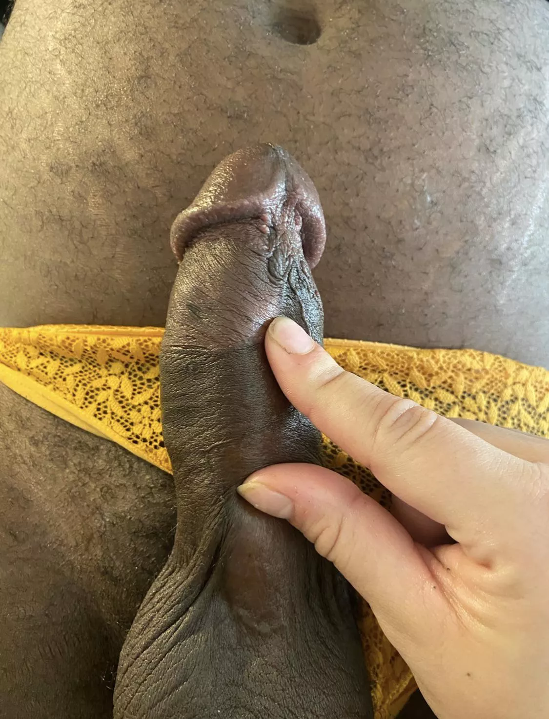 ..came home from my bull and made my husband wear my lace panties.. ..came home from my bull and made my husband wear my lace panties..