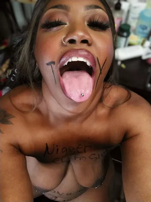 Can I be your favorite toy?