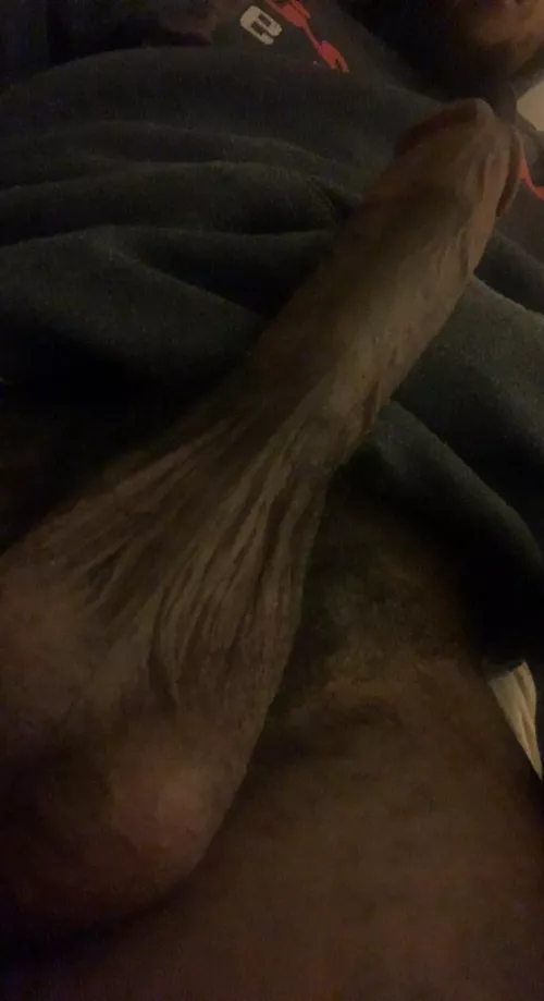 Can I nut in you?