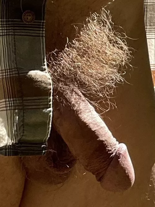 Can I offer you some thick cock with that bush?