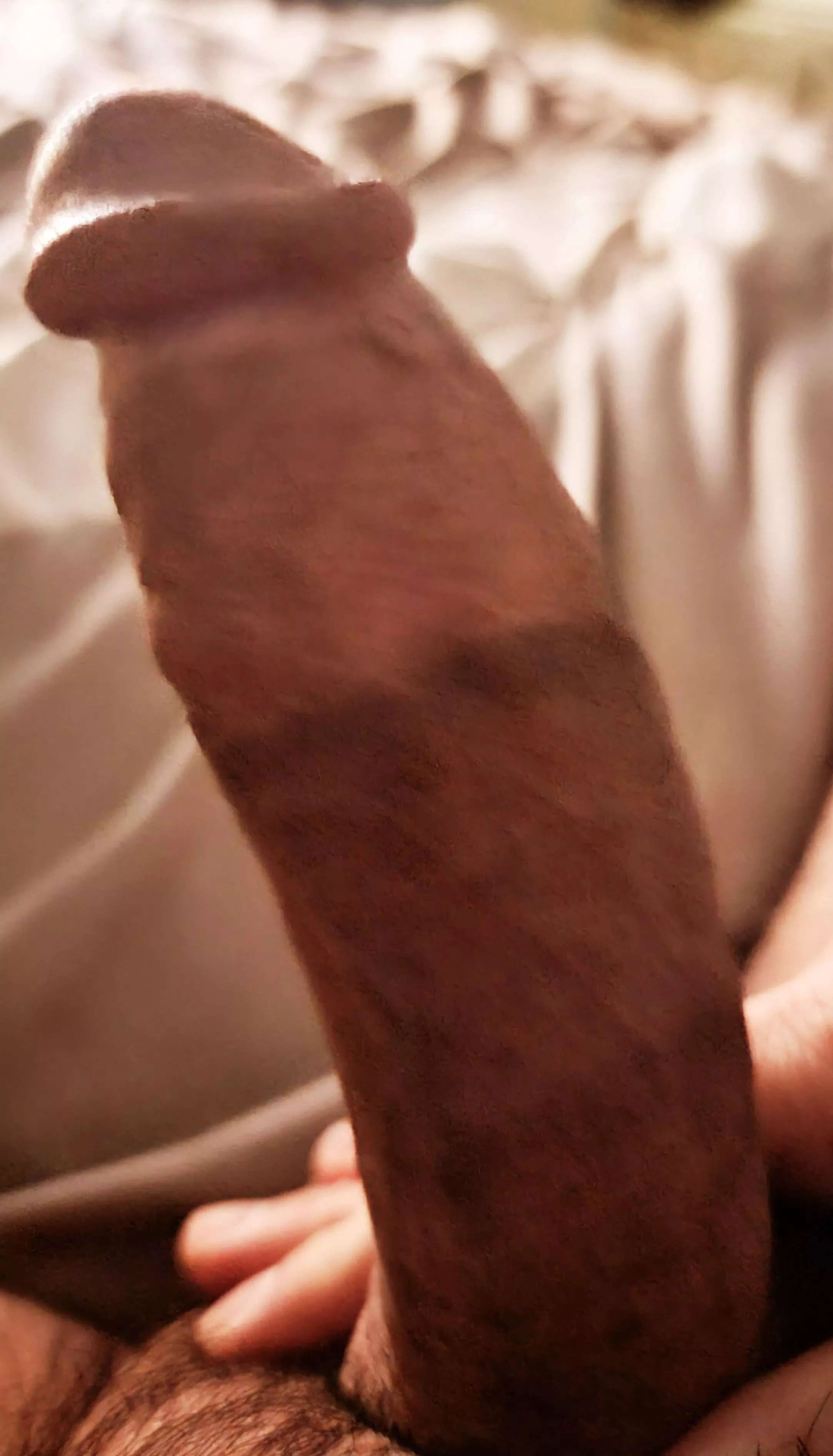 Can I serve you a thick fat cock? Can I serve you a thick fat cock?
