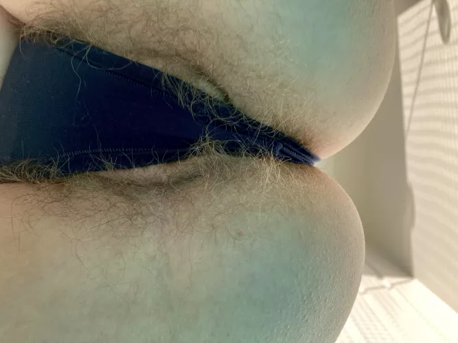Can I sit on your face with this hairy ass? Can I sit on your face with this hairy ass?