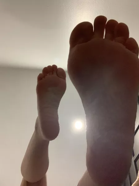 Can I step on you? Can I step on you?