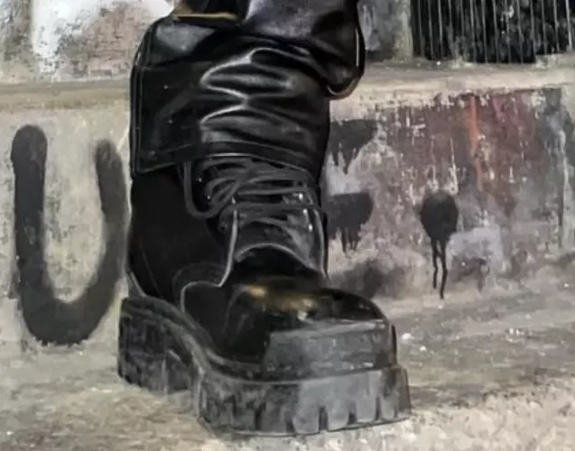 Can someone help me identify these? Thank you.