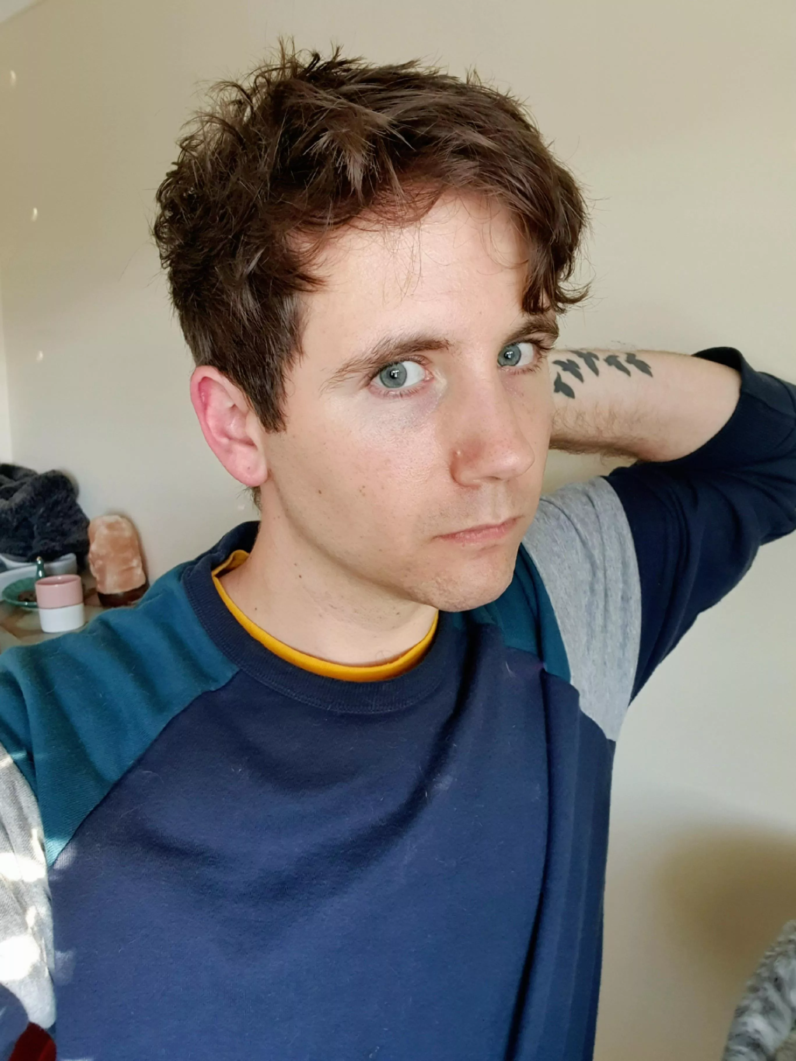 Can someone teach me Anno1800 I just can't get to grips with it