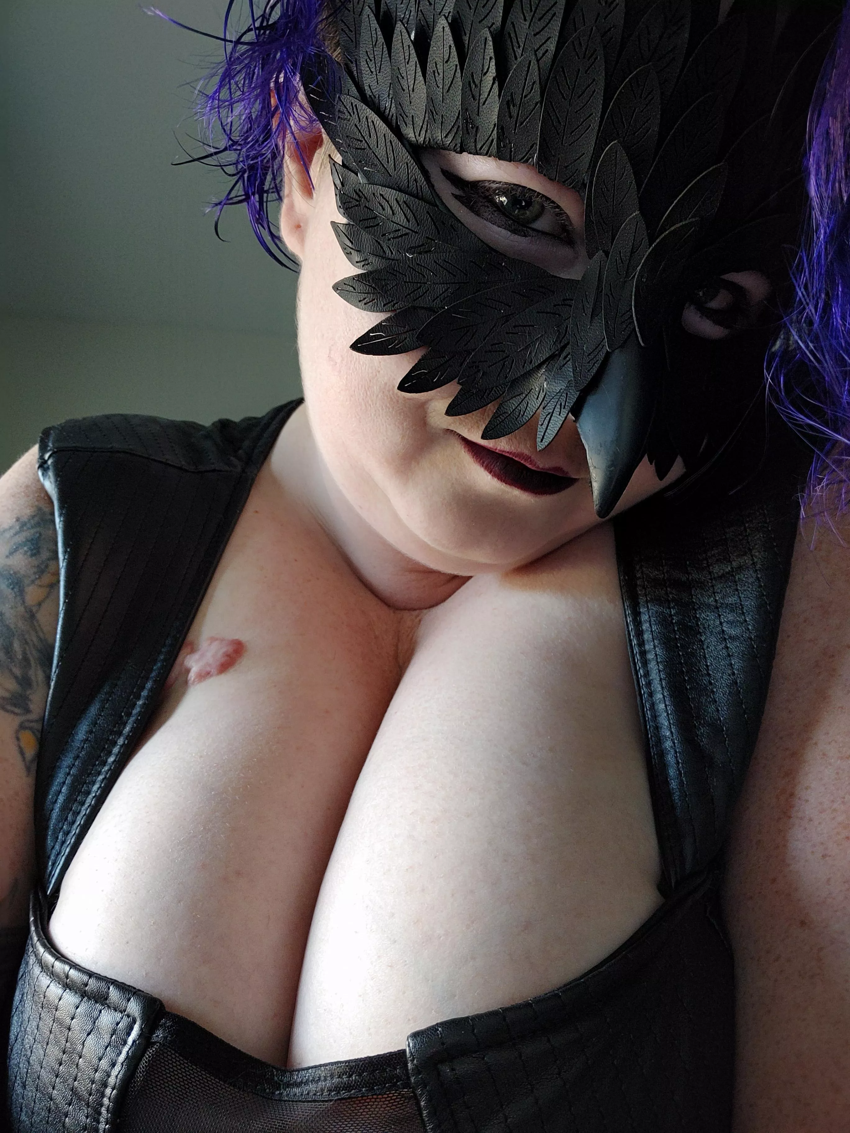 Can this little bird sit in your window? Can this little bird sit in your window?