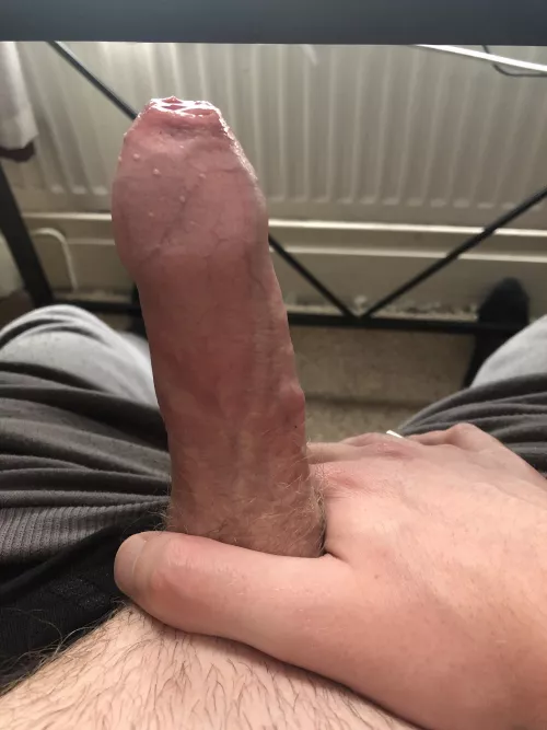 Can we get any appreciation for my very average cock? Can we get any appreciation for my very average cock?