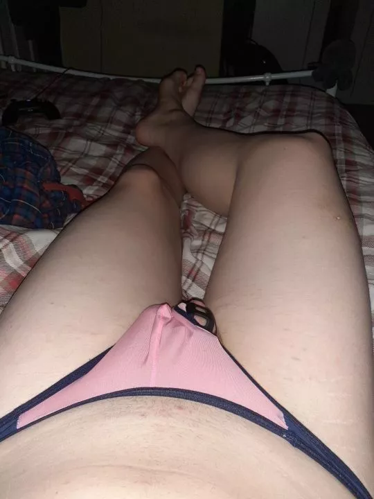 Can you erm spot the cage ๐ Can you erm spot the cage ๐