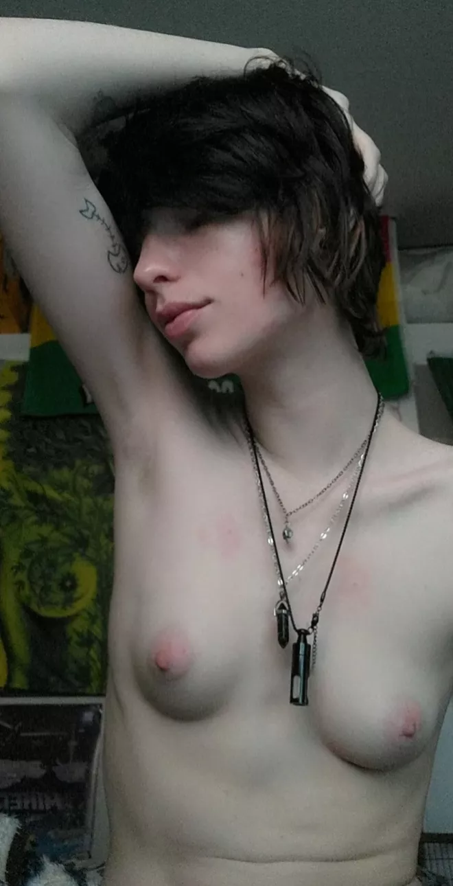 Can you even see my light ginger hairs?