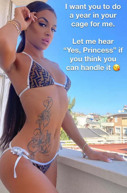 Can you handle a year? Can you handle a year?