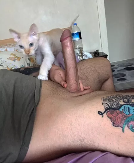 Can you HANDle it ? ๐๐๐