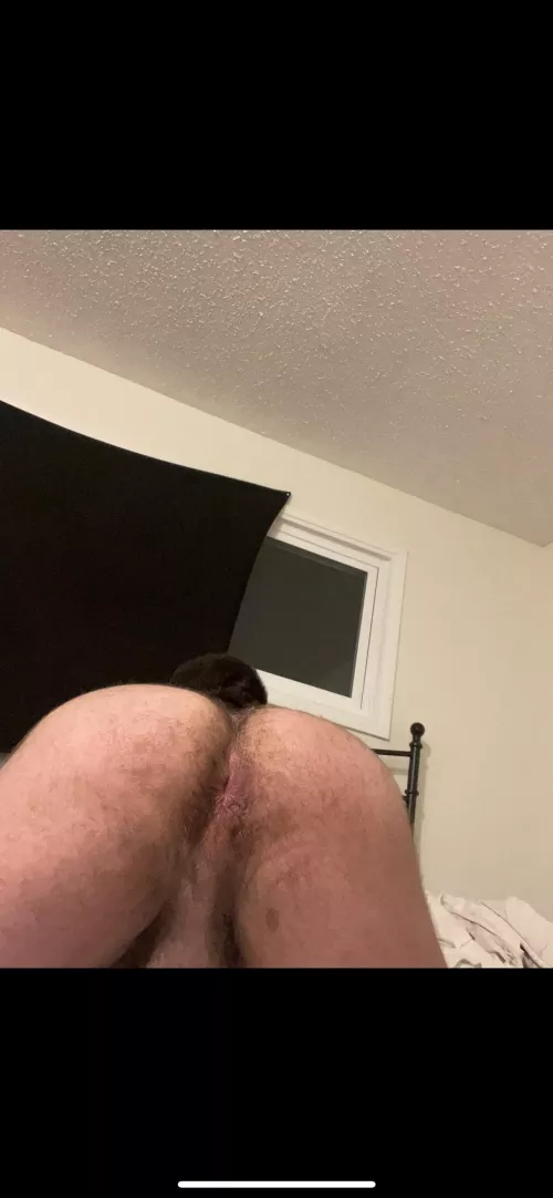 Can you see my hole?