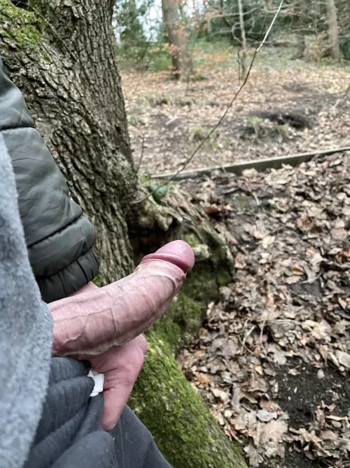 Can you see the wood for the trees?