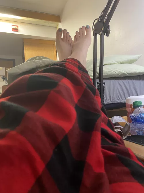 can you think of a better place for my feet to rest? ๐ can you think of a better place for my feet to rest? ๐