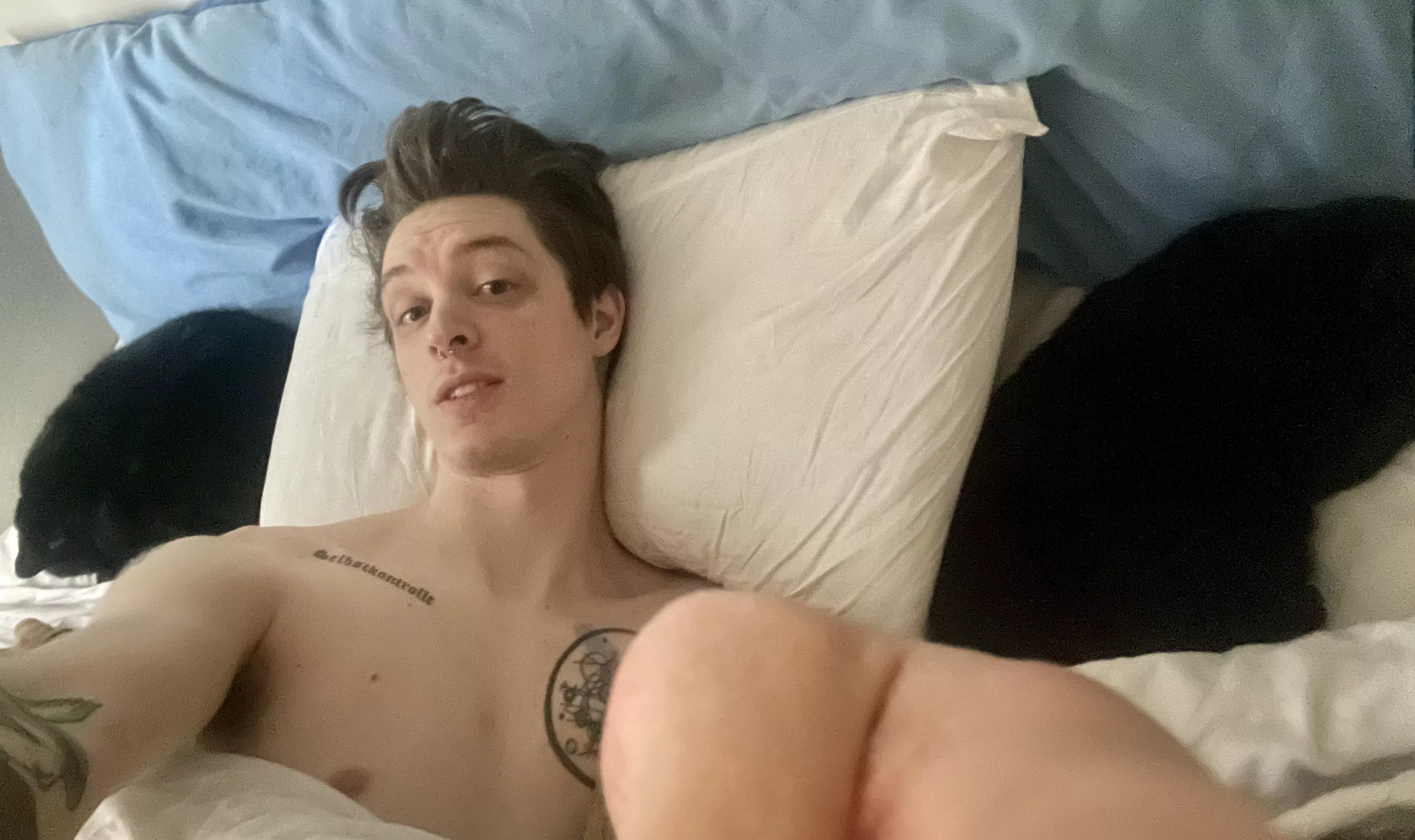 Can’t log in to Endwalker, still, so gonna stay in bed with the cats.