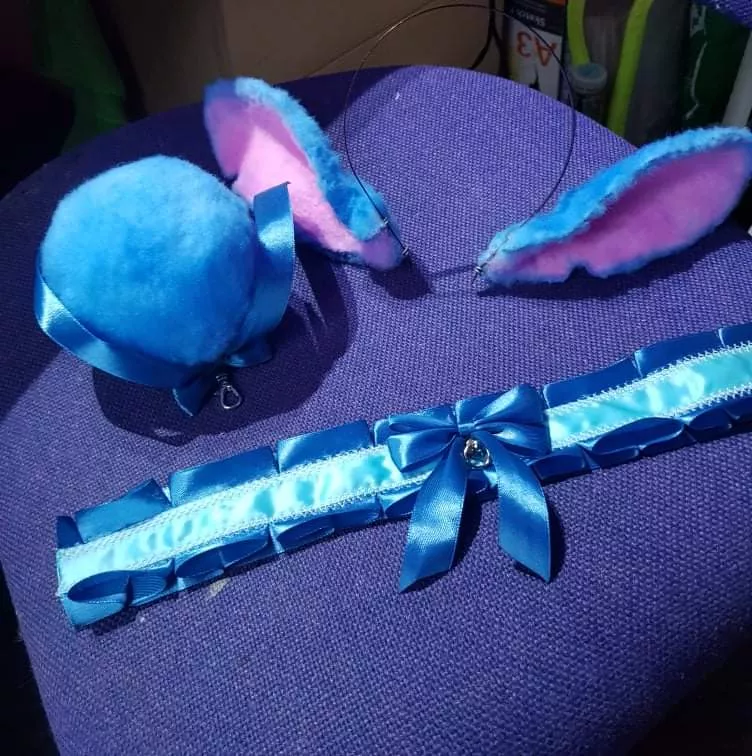 Cant wait to fetch this set, can anyone guess what it is