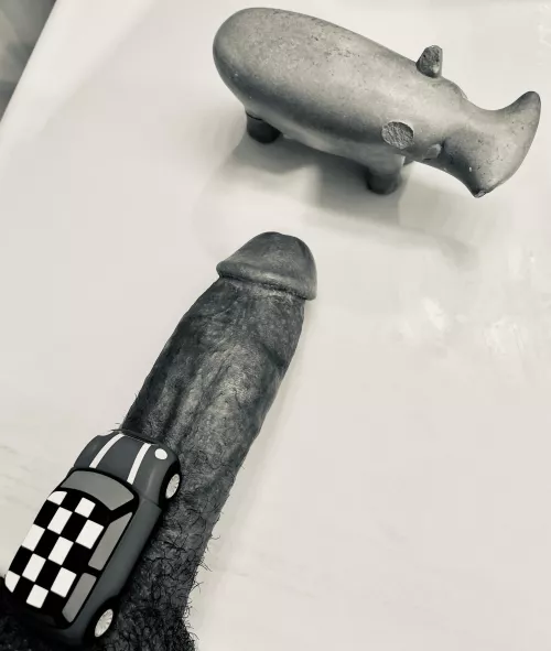 Careful! Rhino crossing on safari [m]