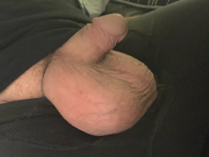 Caress them? Caress them?