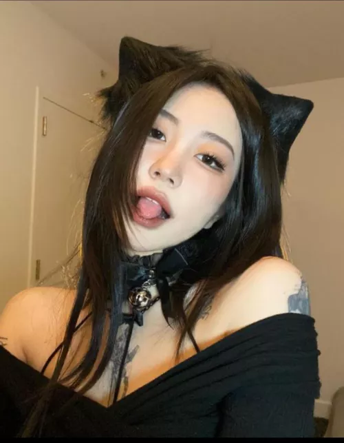 Cat Cat