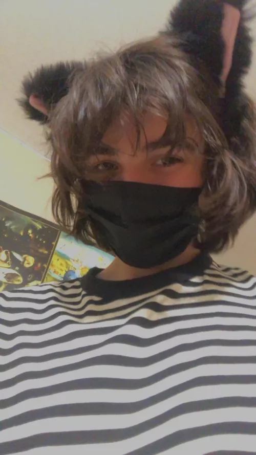 Cat ears and stripes anyone? Cat ears and stripes anyone?