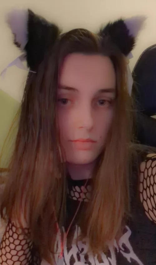 Cat Ears ✓ Fishnets ✓ Crop Top ✓