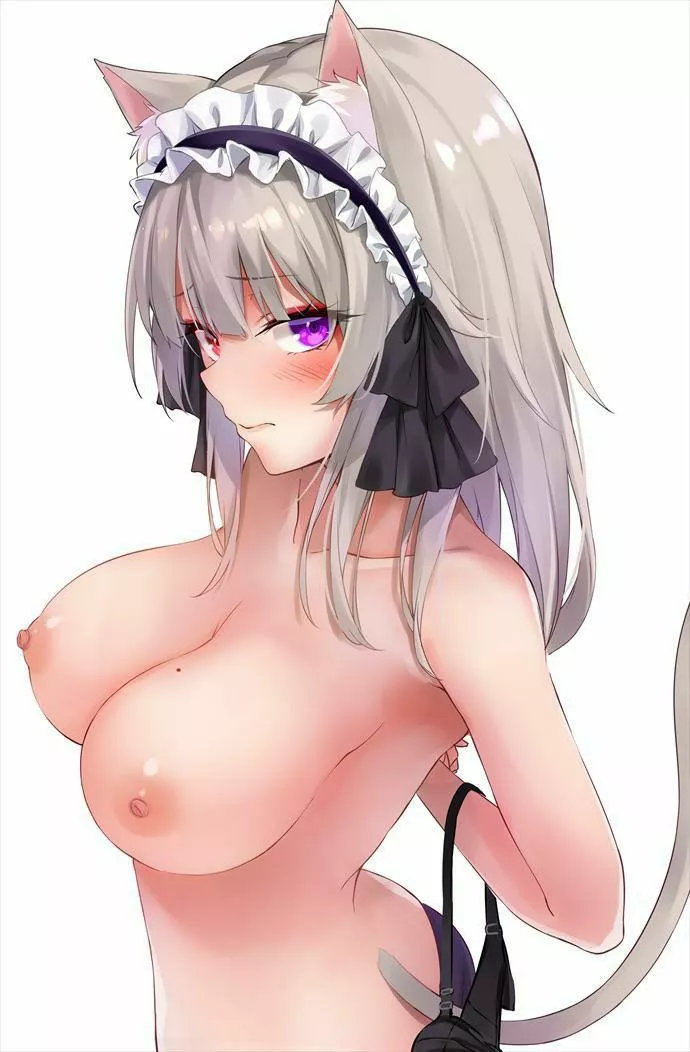Cat maid without her bra Cat maid without her bra