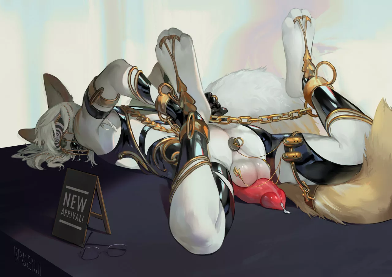 Catch of the Day (Bassenji)