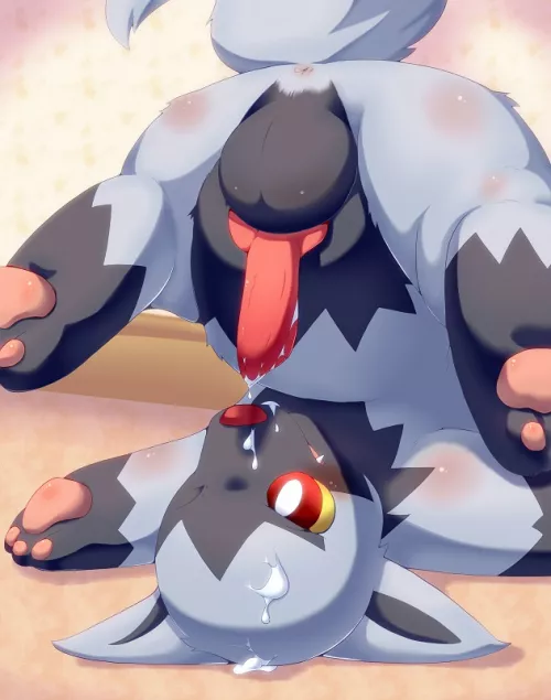 Catch them all challenge #261 - Poochyena (okunawa)