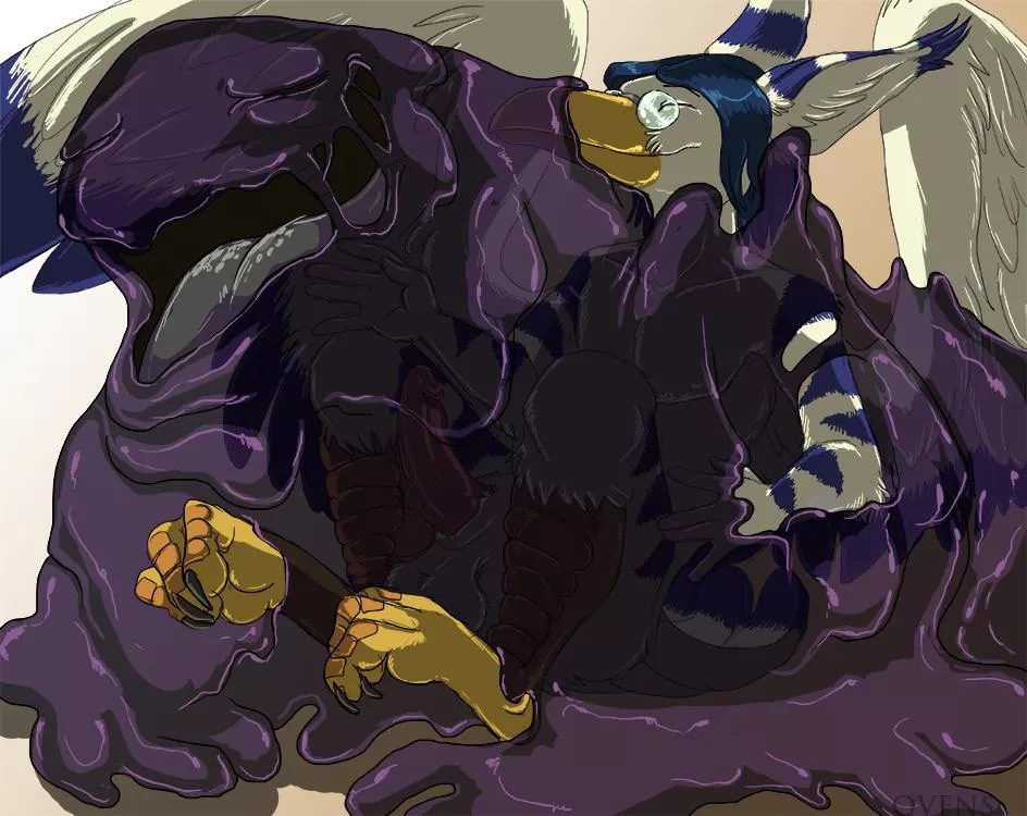 Catch them all challenge #278 - Wingull (JousterL) Catch them all challenge #278 - Wingull (JousterL)