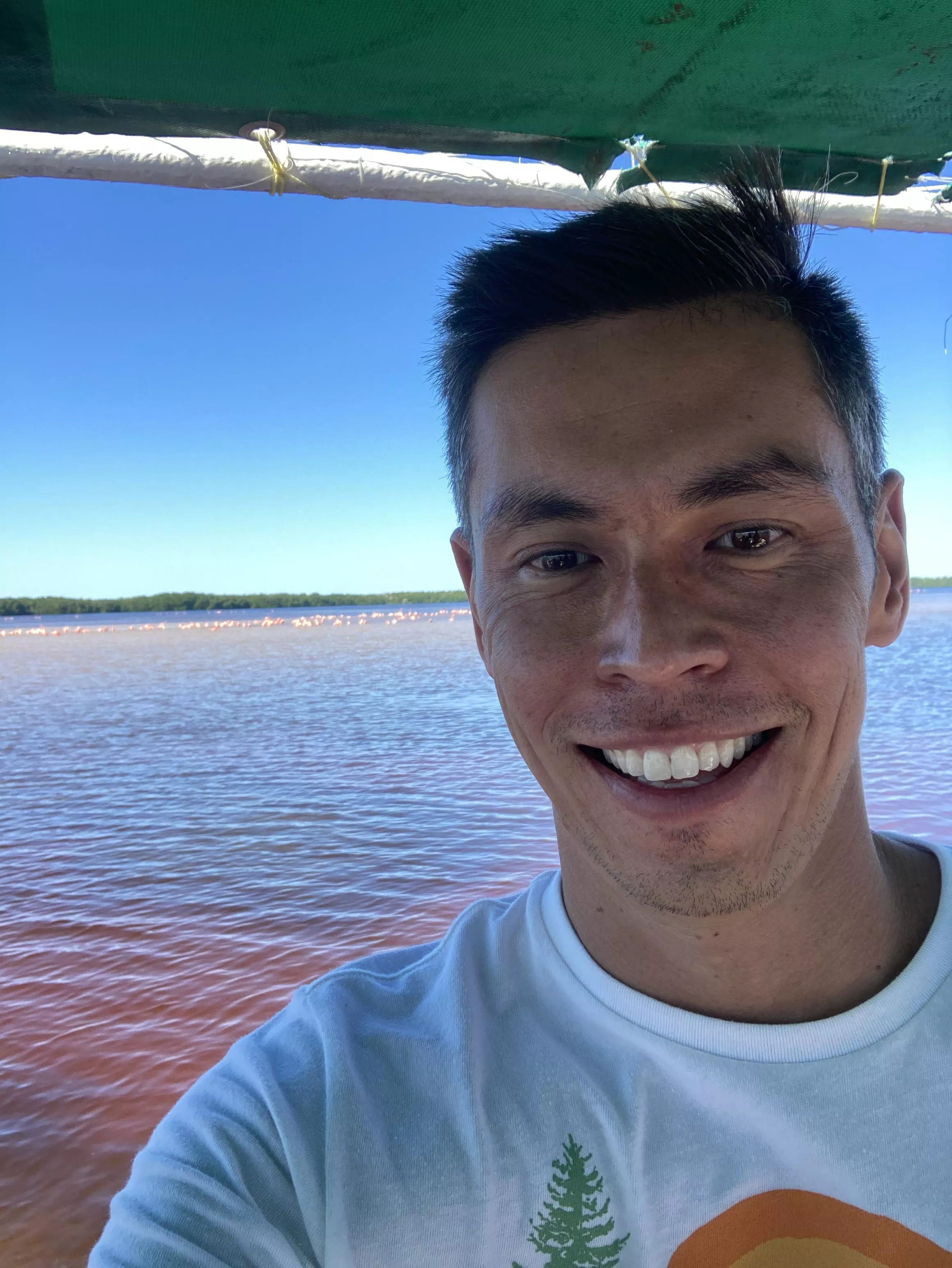 Celebrated the Holidays with flamingos :)