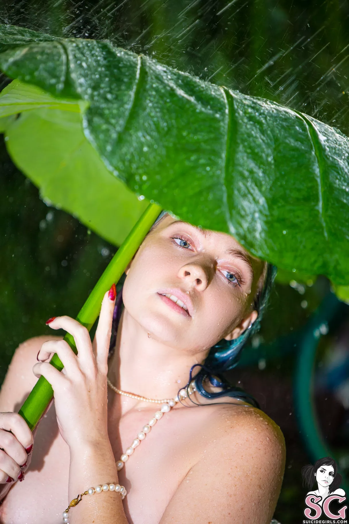 Celtic Empress Celtic Empress