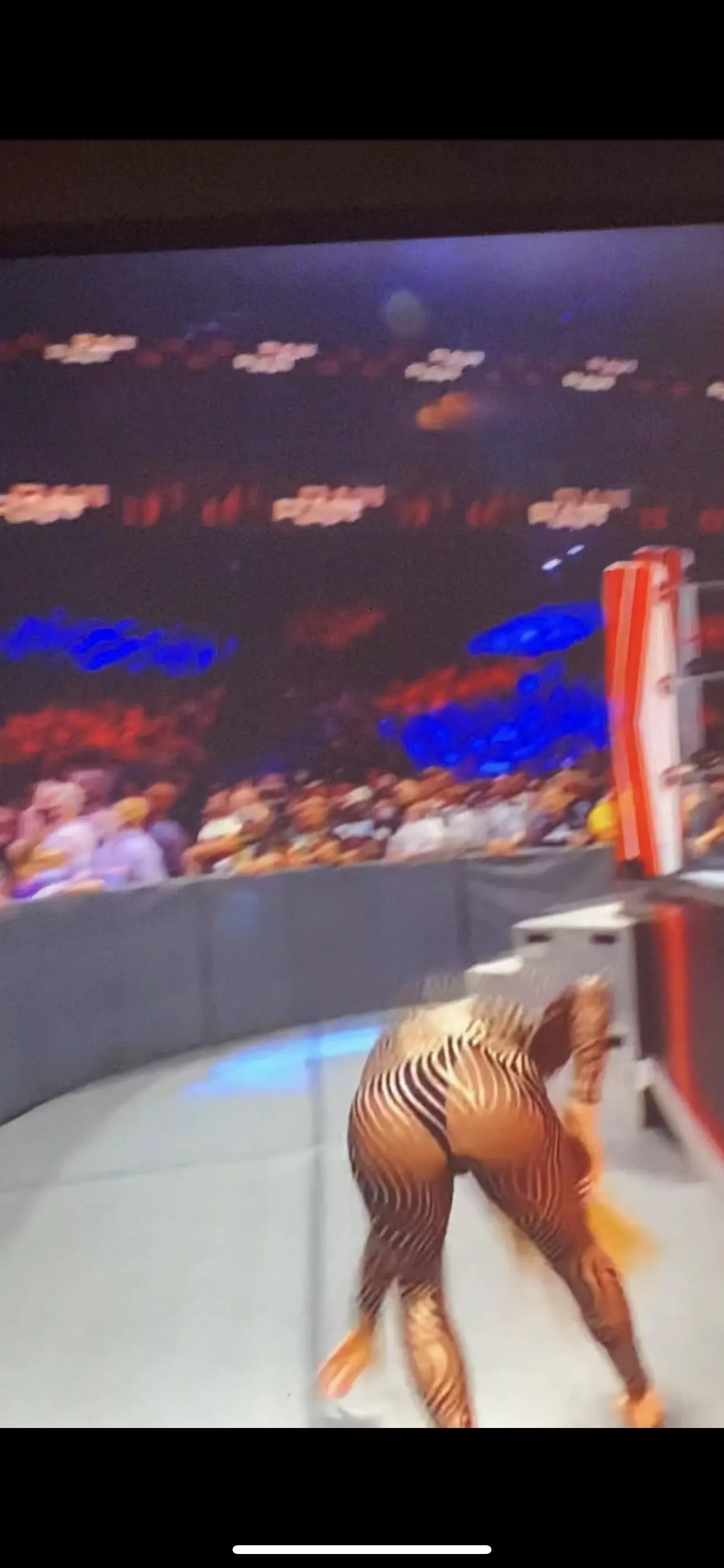 Charlotte Flair’s thong Charlotte Flair’s thong