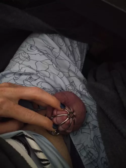 Chastity day 27 locktober day 12 ๐ฅฐ Chastity day 27 locktober day 12 ๐ฅฐ