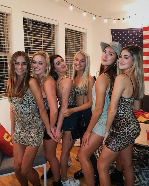 Cheetah Print Cheetah Print